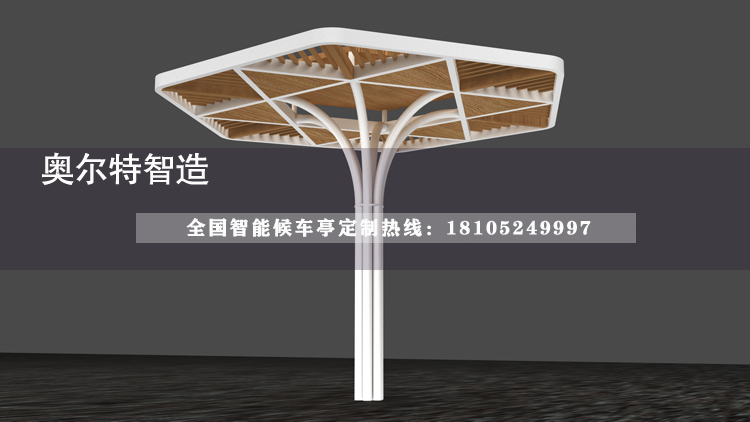 ���������ʽ������������