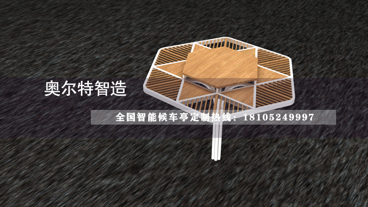 ���������ʽ������������